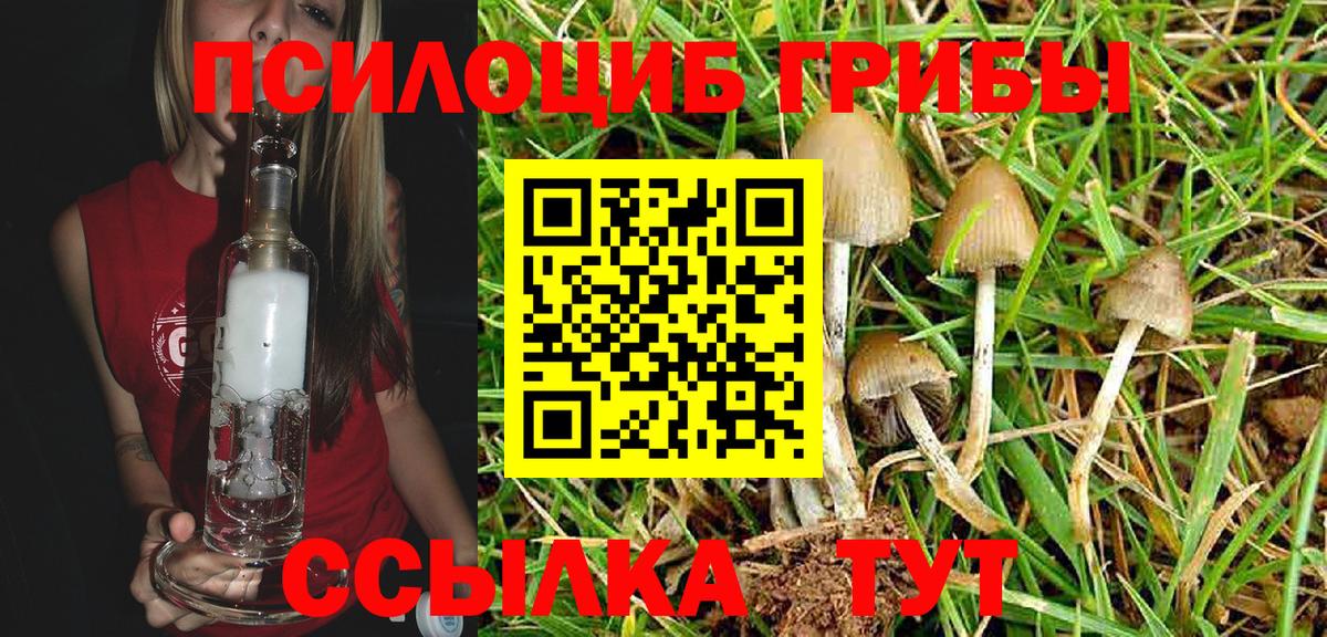Псилоцибиновые грибы Magic Shrooms Бирск